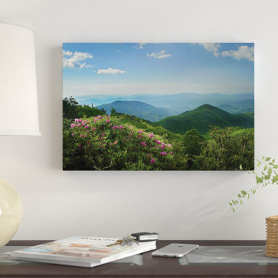" Rhododendron Tree Flowering At Craggy Gardens, Blue Ridge Parkway, North Carolina " by Tim Fitzharris