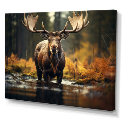 «Canada Majestic Moose III», art mural Canada large