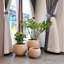 Pot de fleurs Dorlis Fiberstone-795267172-686110831