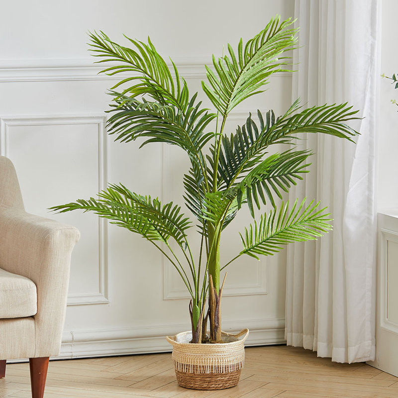 Plant, 130cm H x 16cm W x 16cm D