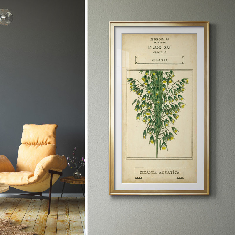 Linnaean Botany I - peinture sur toile encadrée, H 14,5 po x l 26,5 po x P 1,5 po, Doré