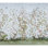 Schumacher x Mary McDonald Les Oiseaux Panel Set