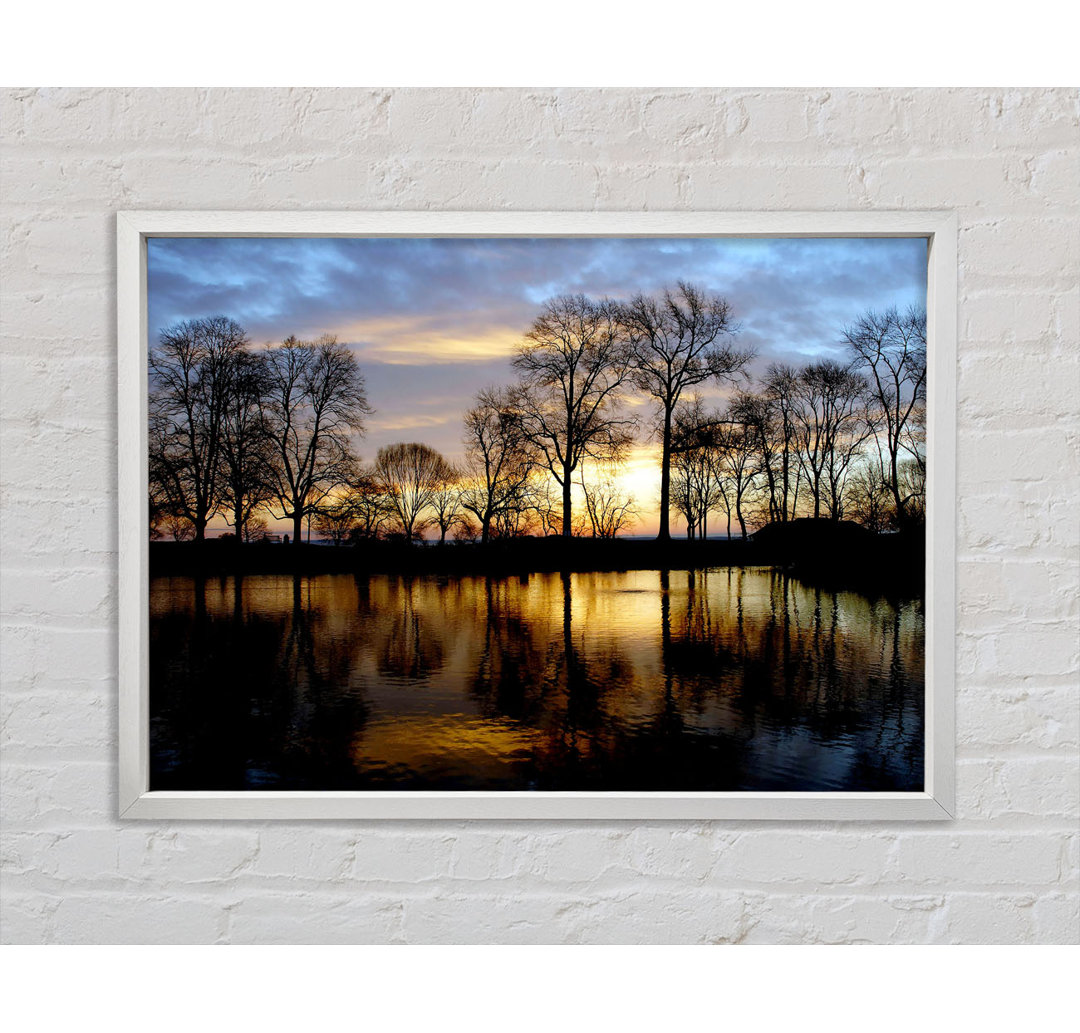 Woodland Lake At First Light - Einzelner Bilderrahmen Kunstdrucke auf Leinwand