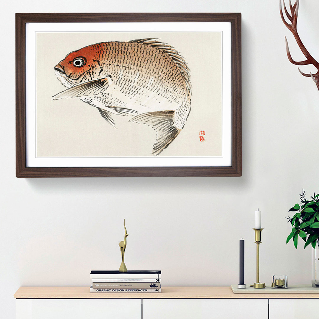 Red Seabream Fish by Kono Bairei - Picture Frame Painting Print