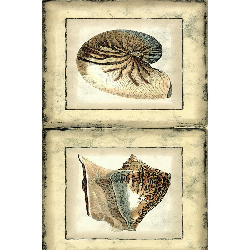 Mini Rustic Shell Panel II - Wrapped Canvas Art Prints, 46cm H x 30cm W x 3.8cm D