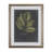Foliage Dramatique III by Vision Studio Hand Embelished Textured Framed Art Print Matted under Glass