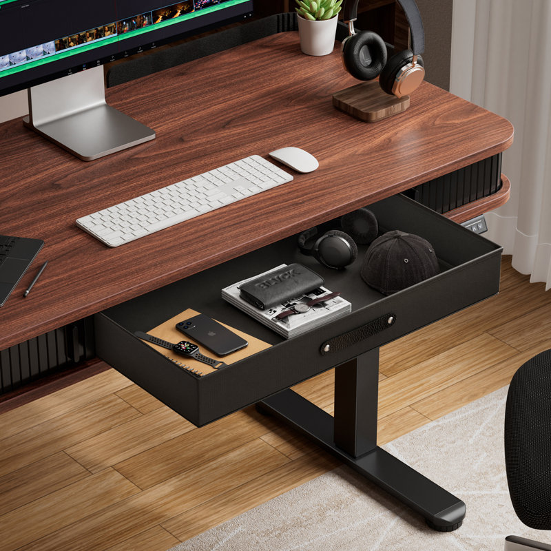 Office Desk,Electric Standing Desk Whole-Piece Desktop 48 x 24 Inches,Computer Desk,Height Adjustable Desk with 3 Drawers Home Office Table with 3 Memory Preset