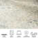 Jacquelyn Floral Area Rug
