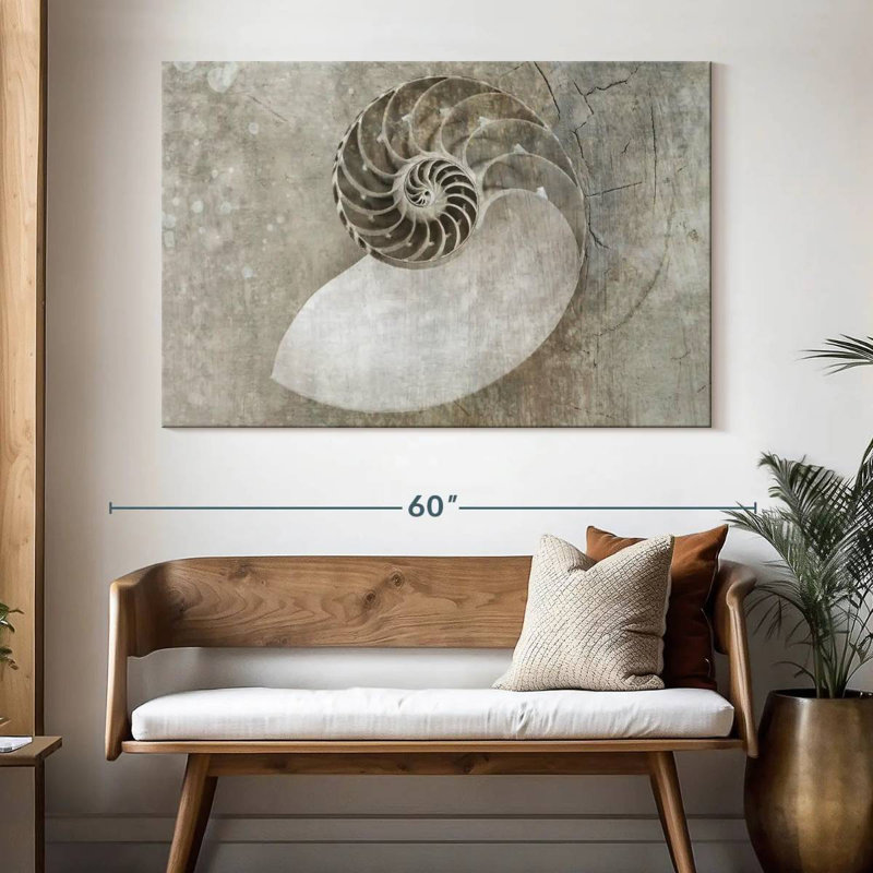 Aletra Spiral Seashell, 34" H x 51" W