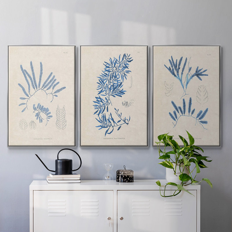 Blue Marine Algae I - Ensemble de 3 reproductions encadrées sur toile, H 36 po x l 72 po x P 2 po, Encadrement argenté