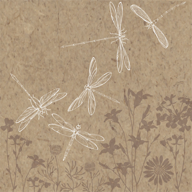 Acamas Dragonfliess - impression sur toile tendue, H 12 po x l 12 po