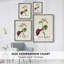 «Pretty Pink Botanicals VI», reproduction encadrée - bois massif 2768833-880584935