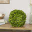 Preserved Greens Topiary, Hedge Plant in-1214296196