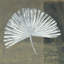 «Palmetto», reproduction d'art sur toile tendue-20812980-72655872-72654367