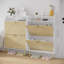16 Pair Shoe Storage