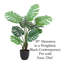 Pot à fleurs 39 po Monstera