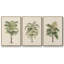 Les Palmiers II - Ensemble de 3 reproductions encadrées sur toile-97811930-97811937