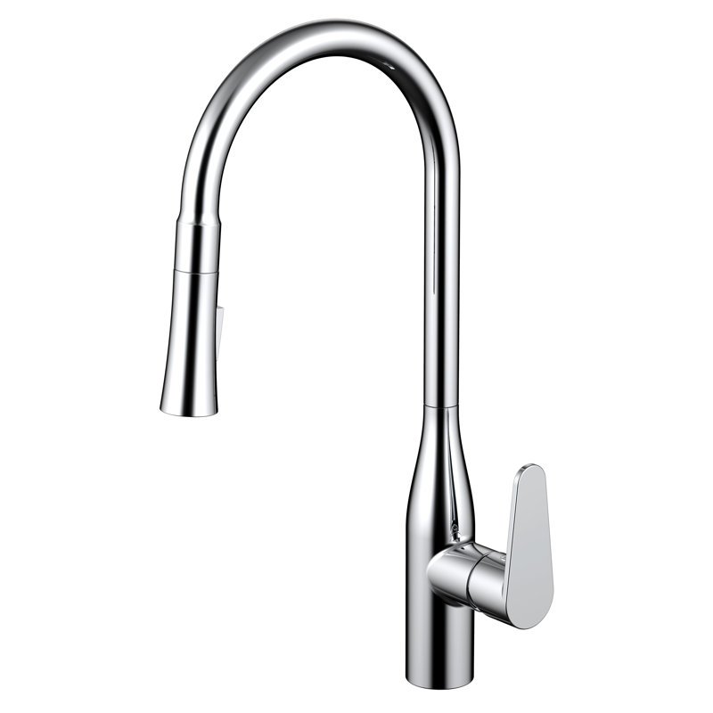 Daweier Pull Out Kitchen Faucet, Chrome