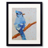 Blue Jay Print by Phyllis Adams