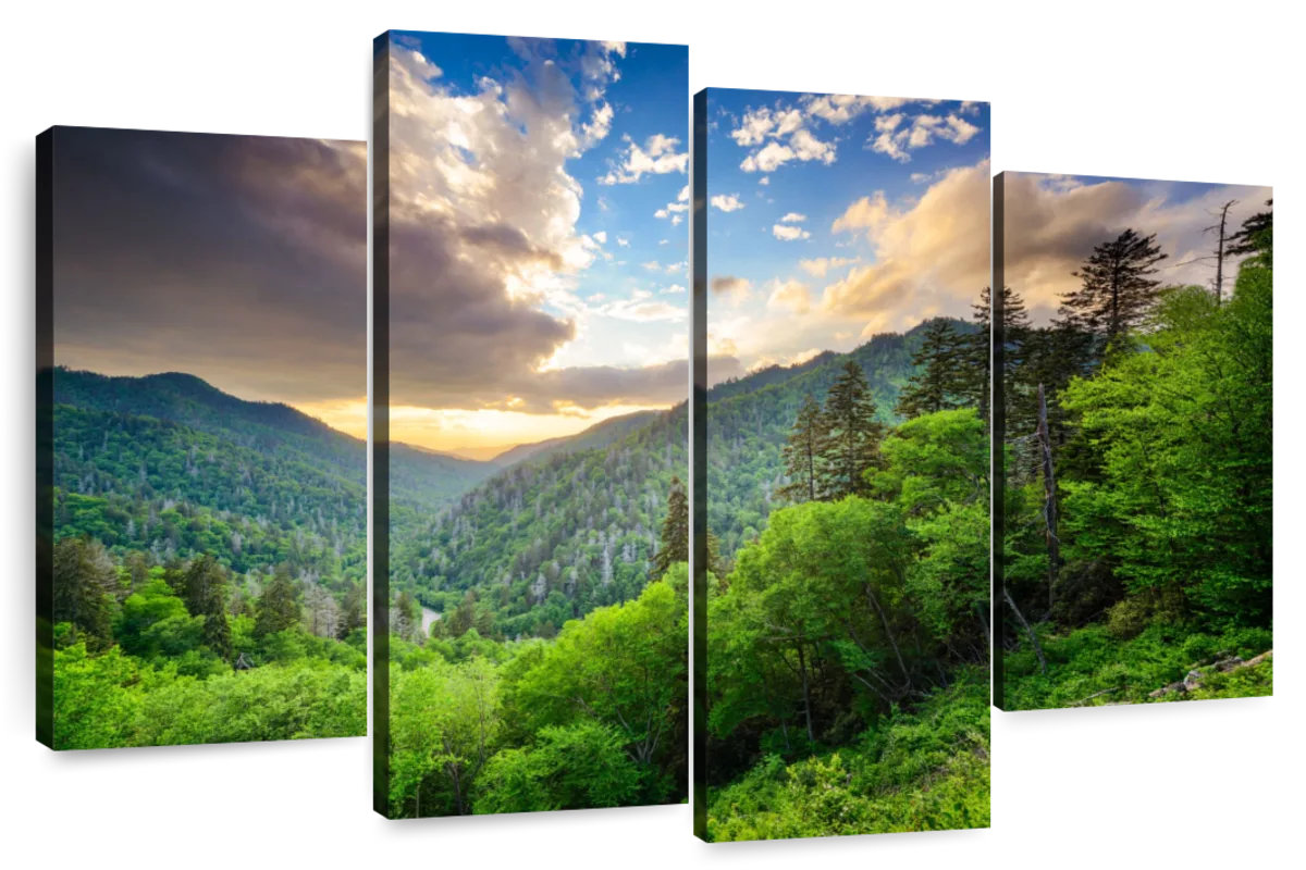 Millwood Pines Alvord Newfound Gap At Sunset | Wayfair