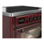 Majestic III Series 36 Inch Induction Range with 6 Induction Elements in Matte Graphite (Chrome Trim)-135045154-135045165
