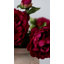 Yellow Peony 19.5"-1036916918-1036916916
