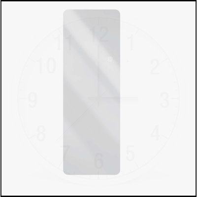 65x21in Full Body Mirror with Lights
