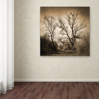 " Sepia Ghost " by Philippe Sainte-Laudy