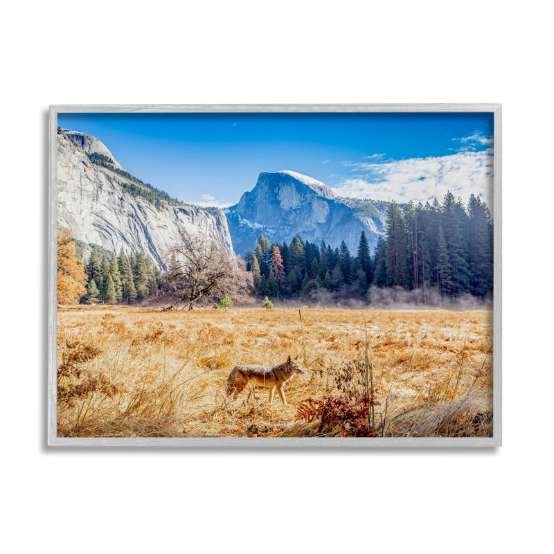 Loup qui broute dans une prairie en milieu champêtre, art texturé par Jeff Poe, H 30 po x l 24 po x P 1,5 po