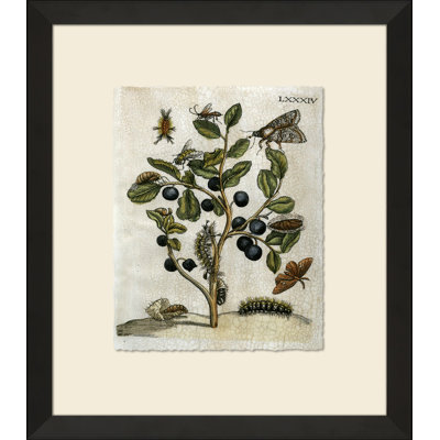 Crackled Insect Collection 3 Painting