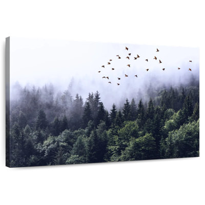 Kerrick Calming Forestscape