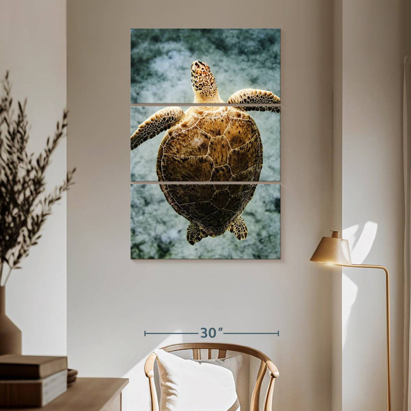 Brampt Virgin Islands Turtle, 65" H x 42" W