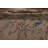 Vegetable Dye Oushak Oriental Large Rug 10