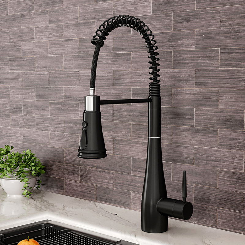 Belfry Kitchen Carmorn Pull Out Kitchen Faucet, Black