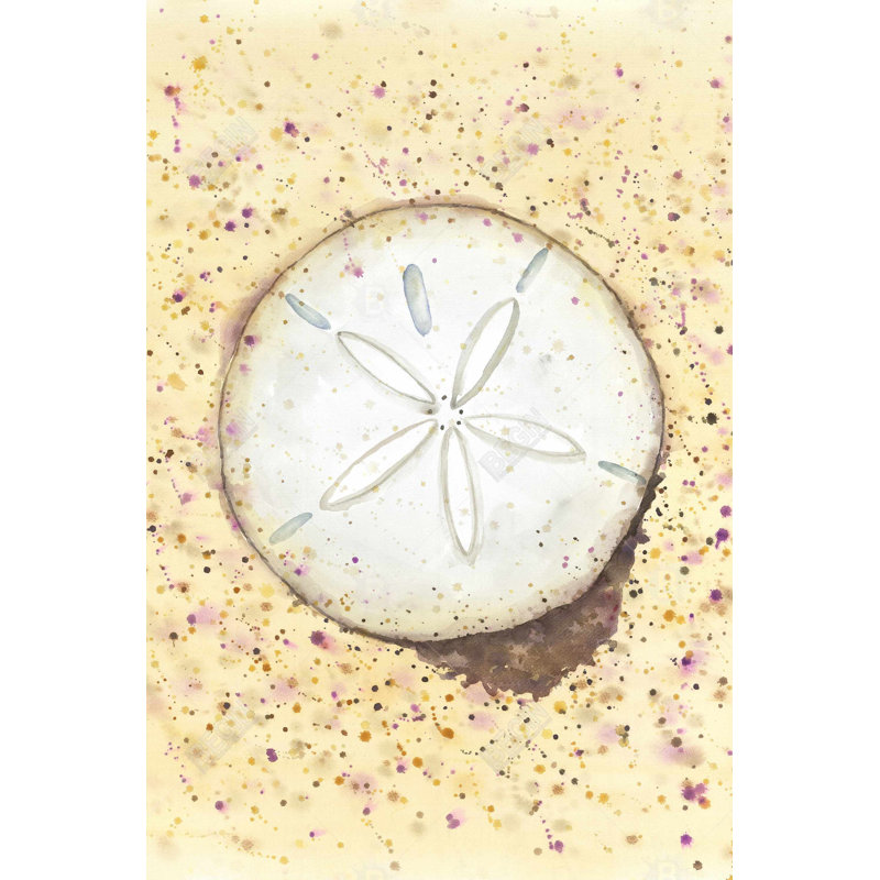 «Sand-dollar» sur toile
