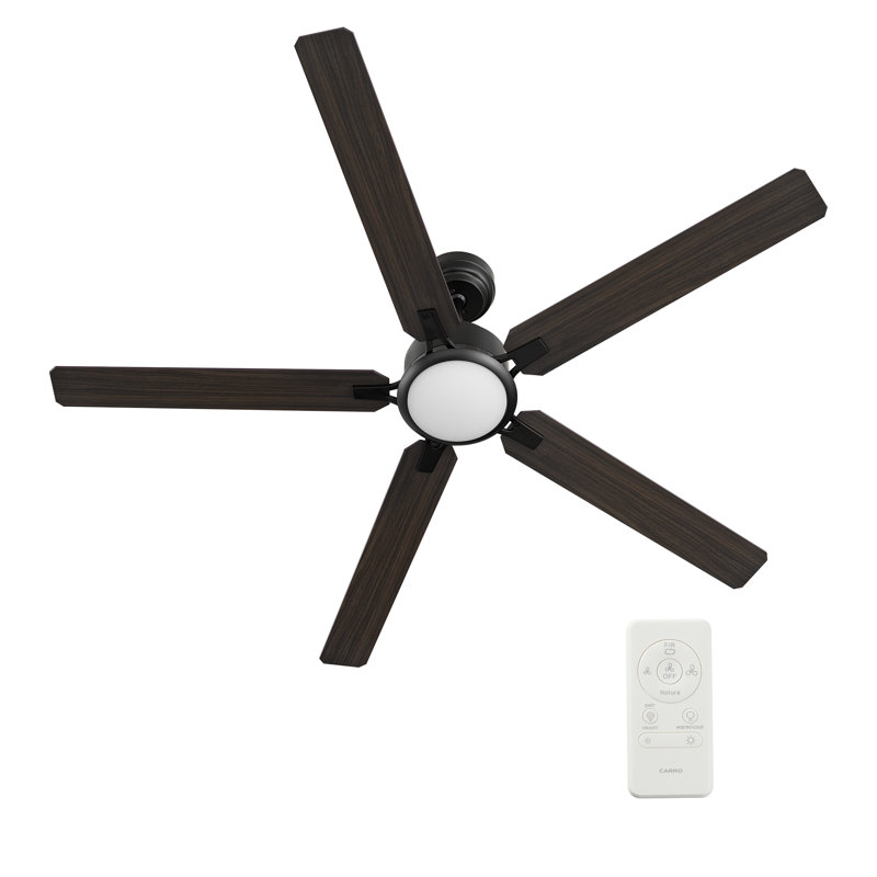 Ventilateur de plafond standard à DEL à 5 pales de 60 po avec télécommande et ensemble d'éclairage inclus , Noir