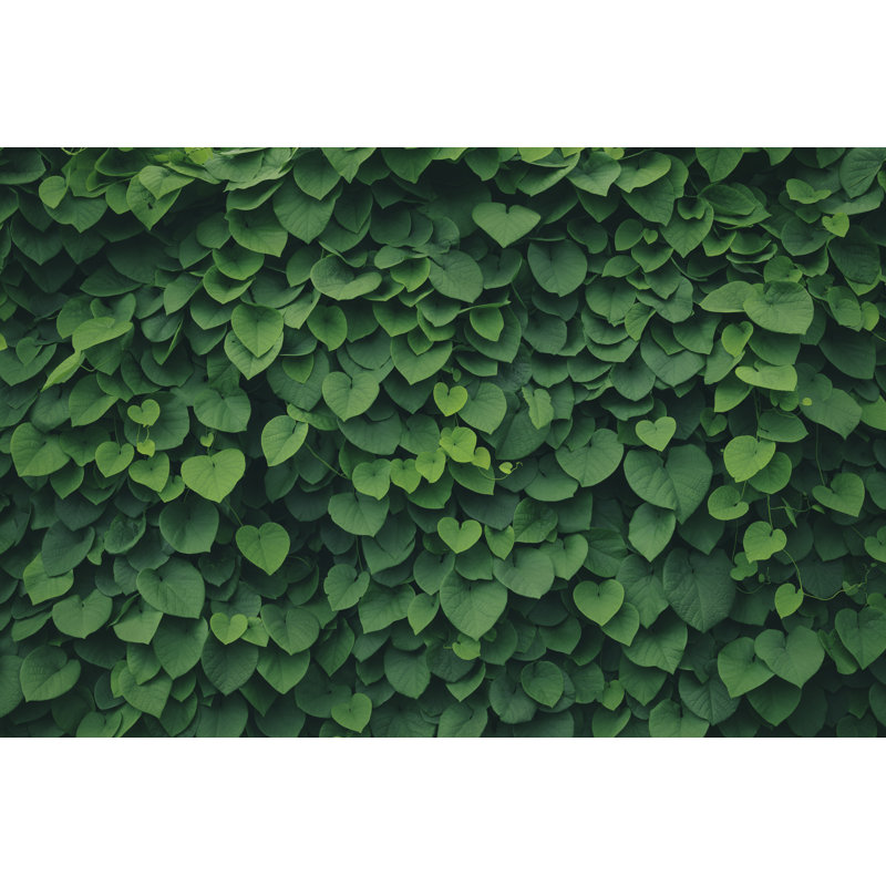 Leafy Green Background by Marcus Lindstrom, 12" H x 18" W