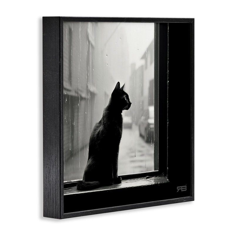 «Cat Cating Rainy Window Giclee Art» par Roozbeh Bahramali, H 12 po x l 12 po, Giclée encadrée noir minuit