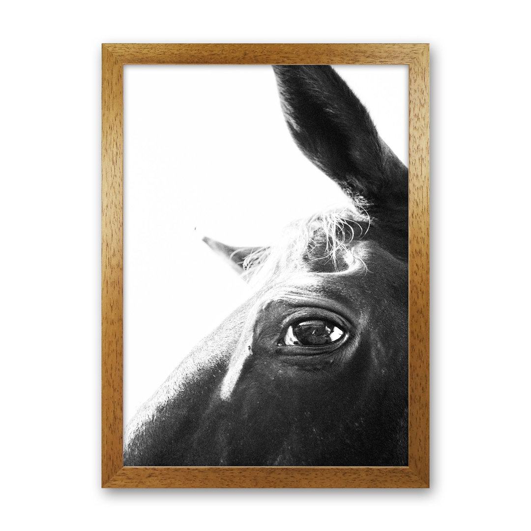 Eye of the Beholder by Victoria Frost - Photograph Print