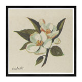 White Blossom II Print