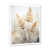 Cadre photo blanc