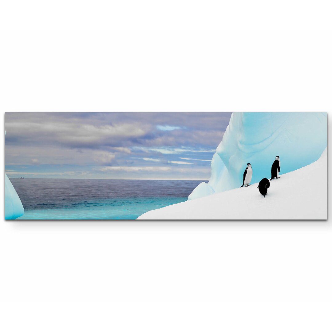 Leinwandbild Pinguine