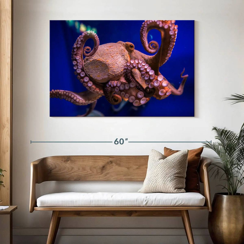 Octopus Prowess, H 32 po x l 48 po