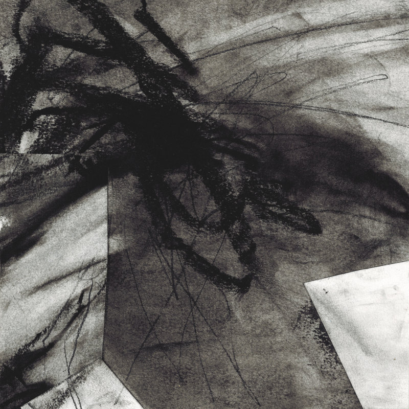 Tenia Charcoal Study I by Lindsey Newman - Wrapped Canvas Print, 30 cm H x 30 cm W
