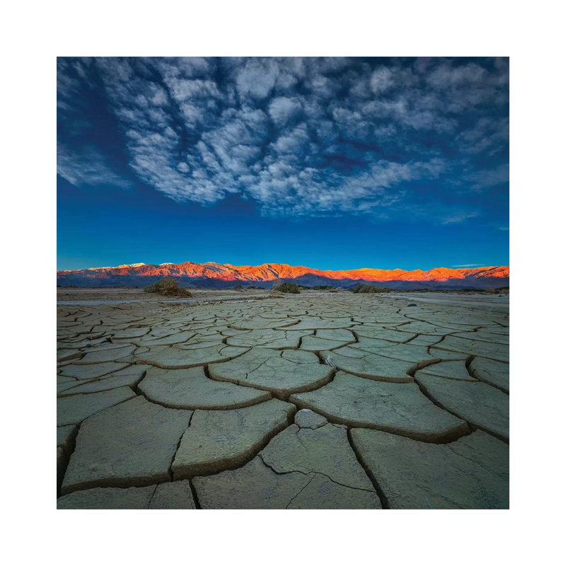 Dry Season 1 Piece Wrapped Canvas Painting, 66.04 cm H x 66.04 cm W x 3.175 cm D