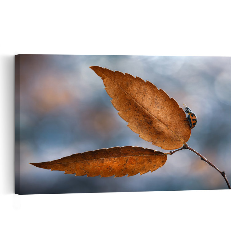 Ladybug Autumn Leaf Delicate Abstract Contemporary Ladybug Autumn Nature Wall Art Print by Atul Saluja - Print
