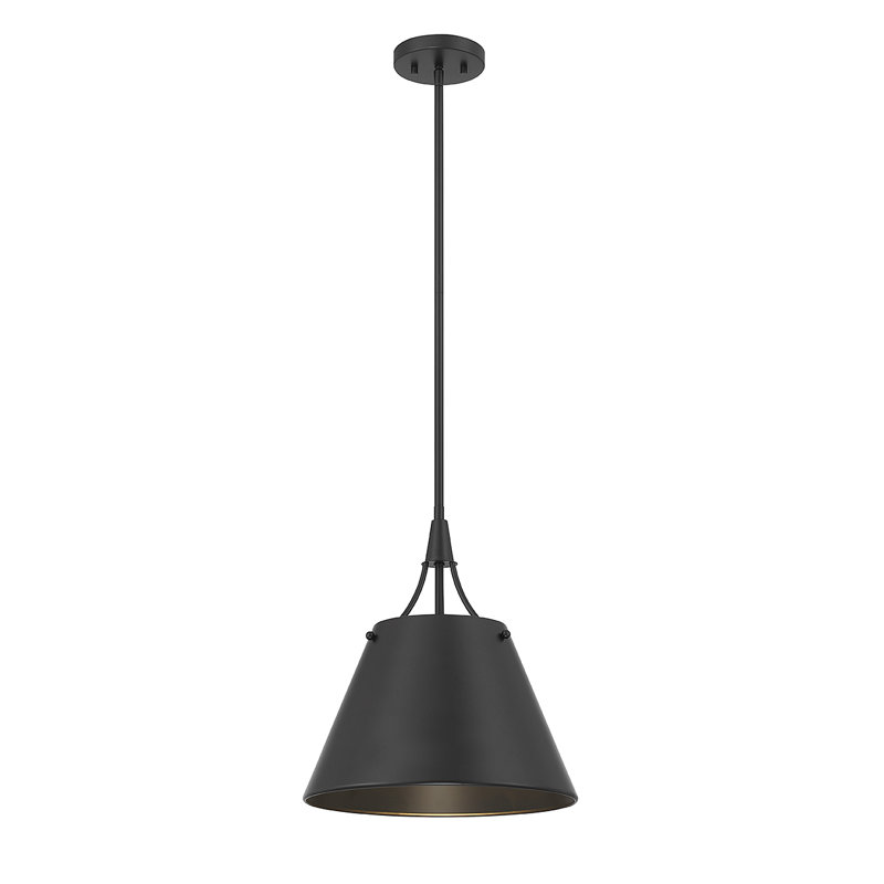 Manila 1 - Light Dome Cone Pendant in Black, Black