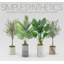 68 plantes-95099216