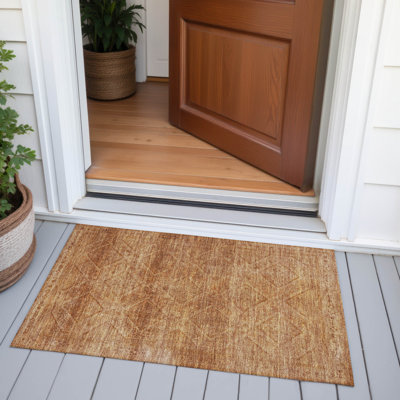 Machine Washable Indoor/Outdoor Xhevrie Copper Rug
