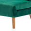 Wallen 2 Seater Velvet Sleeper-1328305468